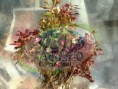 /album/galeria-plantas-acuaticas/a7-jpg/