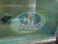 /album/galeria-marinos/a9-jpg/